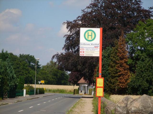 Bild-Thumbnail